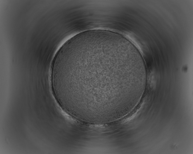 X0000089921149200707131405