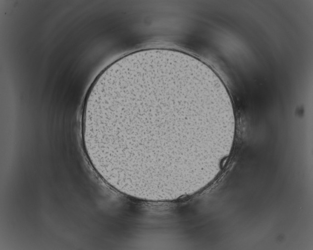 X0000089921150200707131405