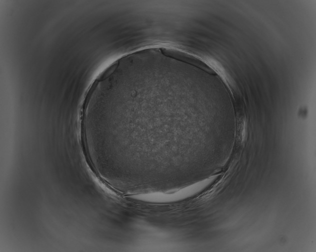 X0000089921151200707131405