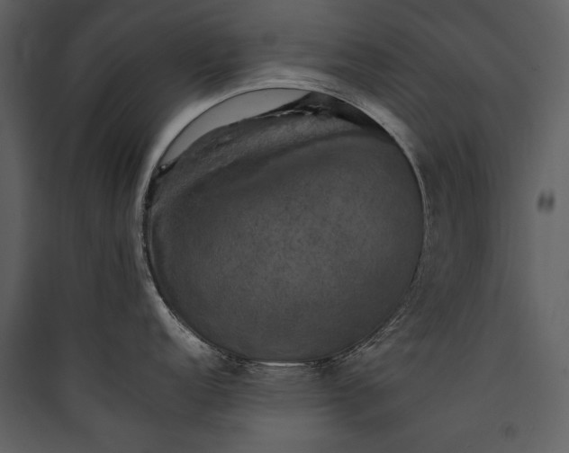 X0000089921152200707131405
