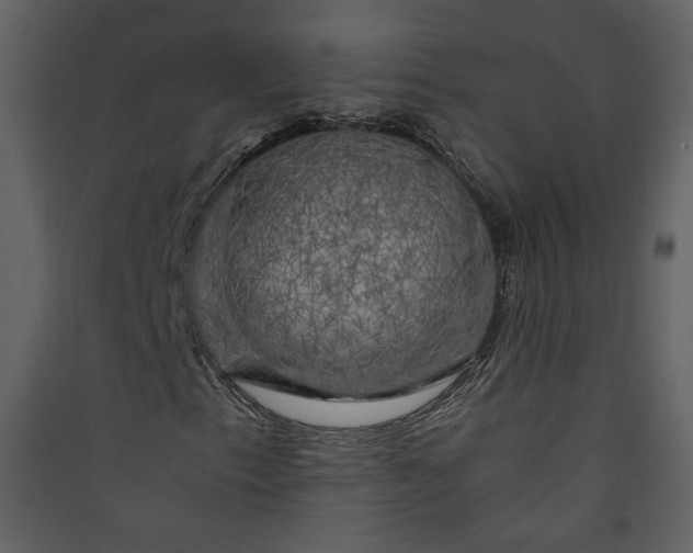 X0000089921153200707131404