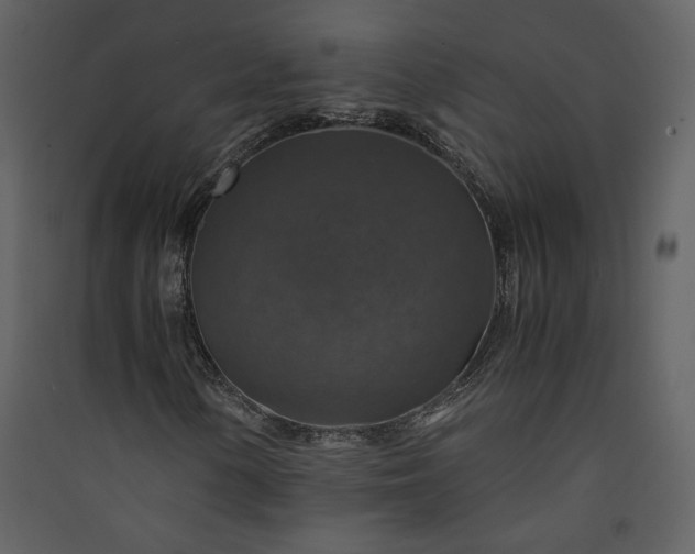X0000089921154200707131404