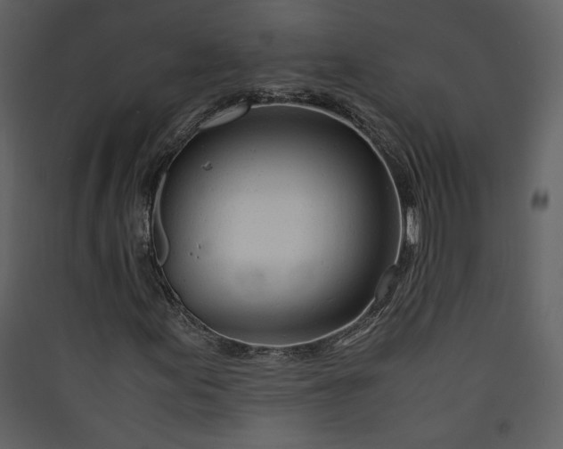 X0000089921155200707131404