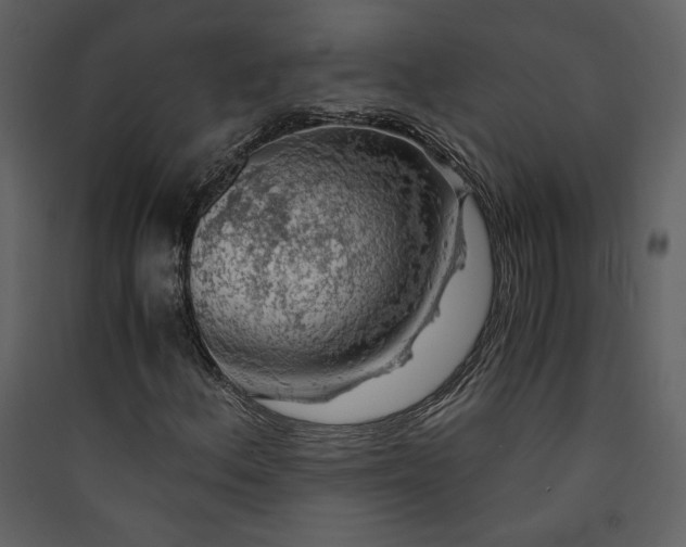 X0000089921156200707131404
