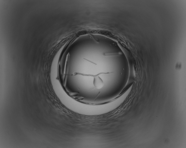 X0000089921157200707131404