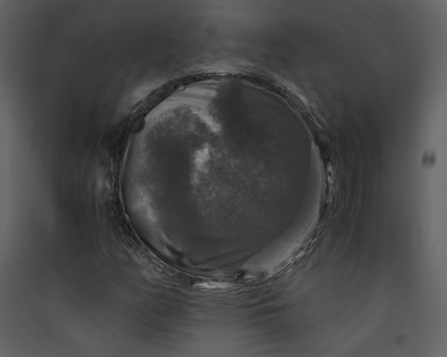 X0000089921158200707131404