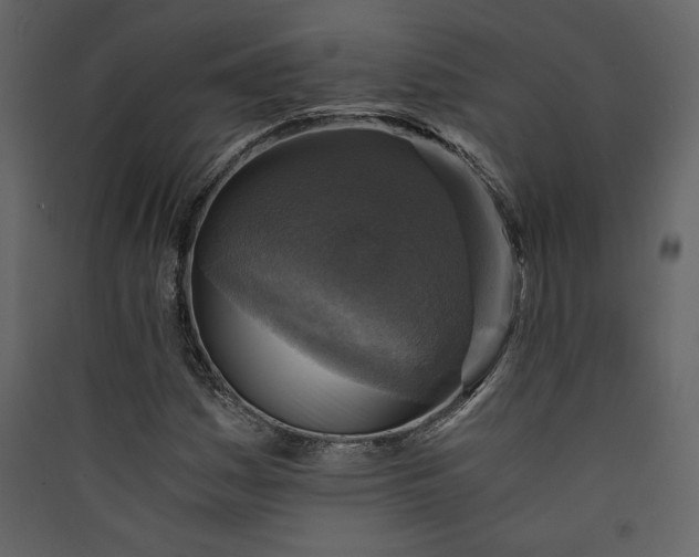 X0000089921161200707131404