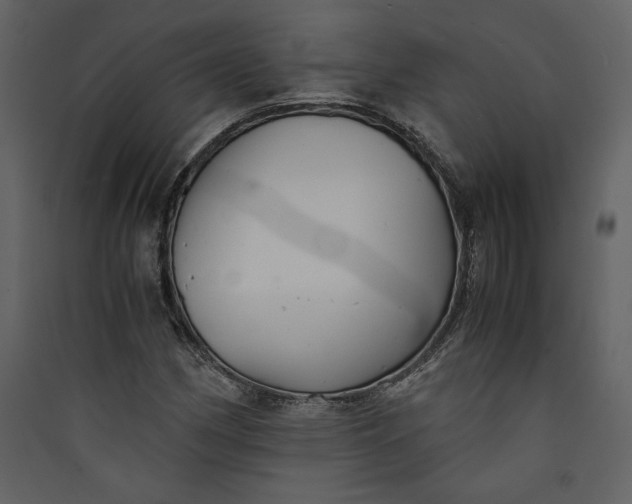 X0000089921162200707131404