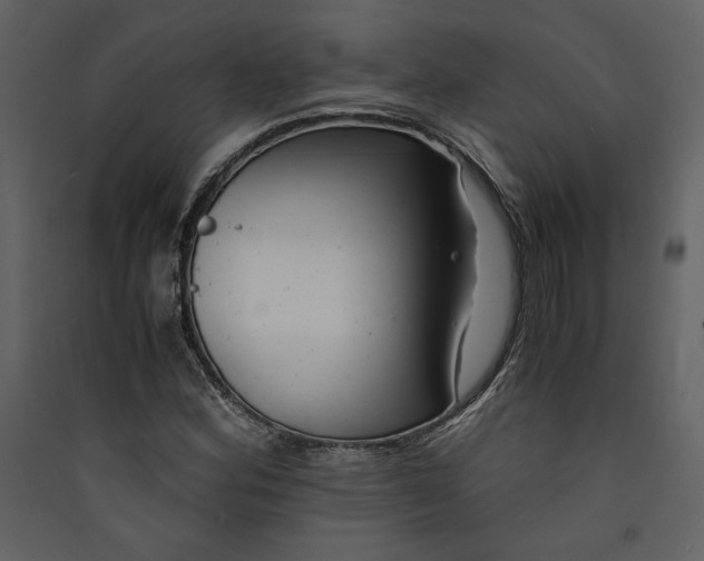 X0000089921164200707131404