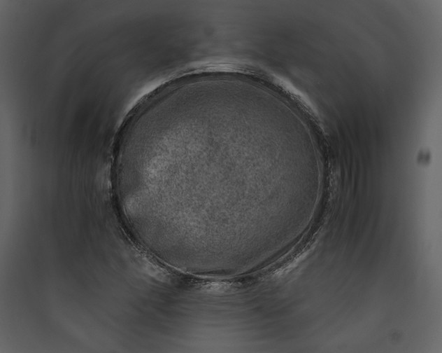 X0000089921166200707131404
