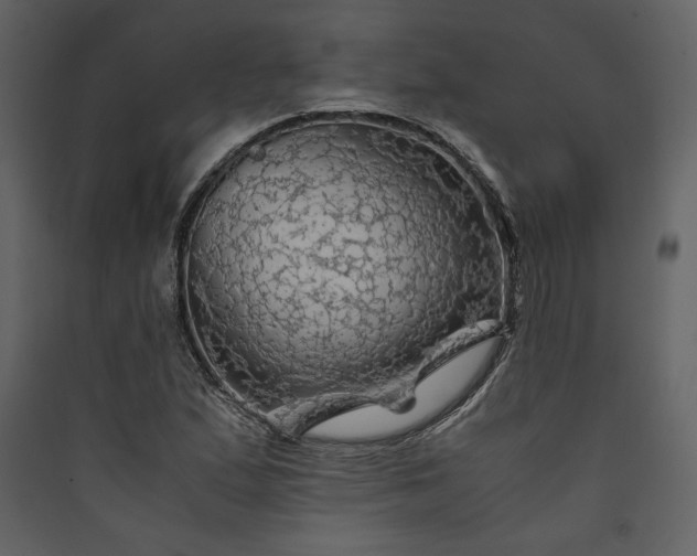 X0000089921167200707131404
