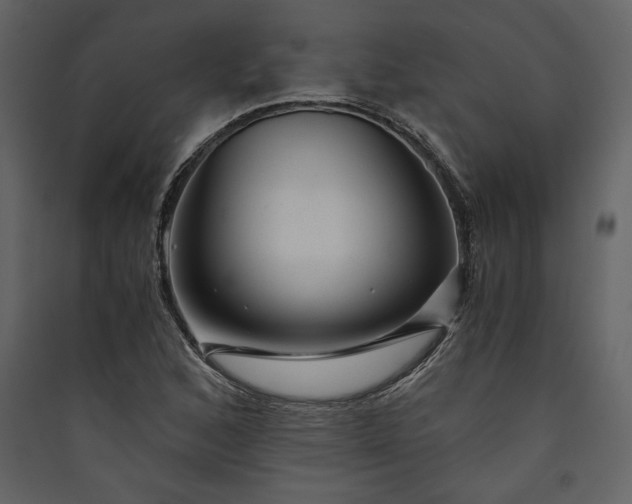 X0000089921168200707131404