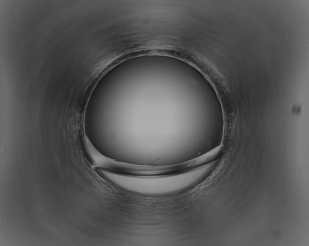 X0000089921169200707131404
