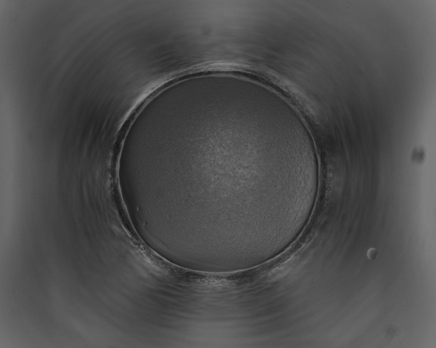 X0000089921170200707131404