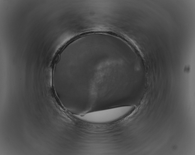 X0000089921171200707131404