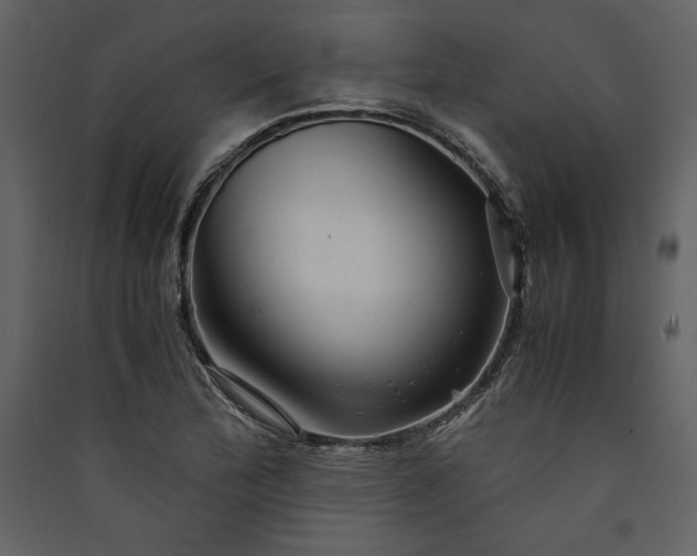 X0000089921172200707131404