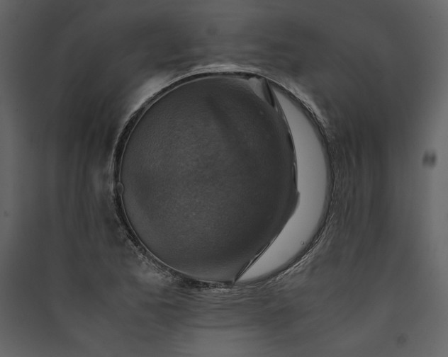 X0000089921173200707131404