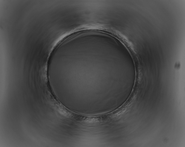 X0000089921174200707131404