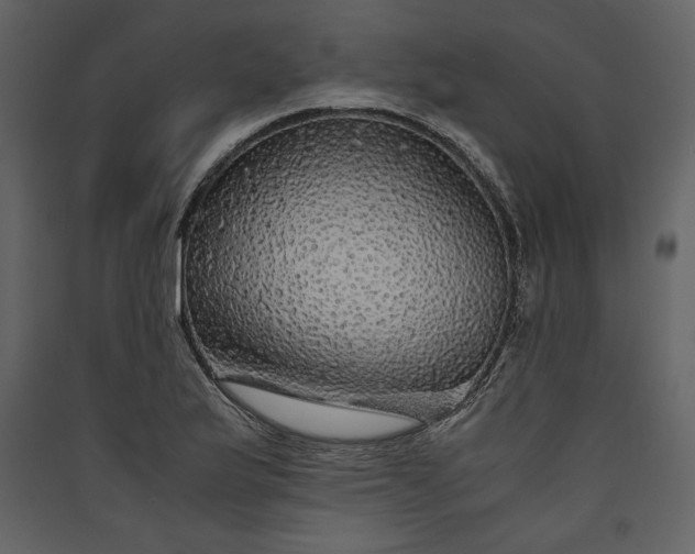 X0000089921175200707131404