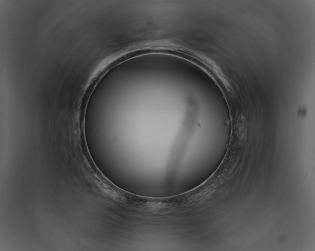 X0000089921176200707131404