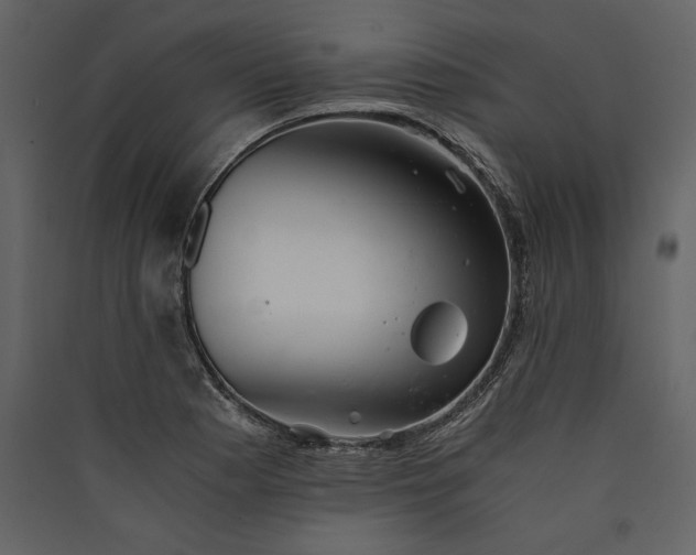 X0000089921177200707131404