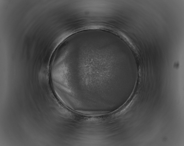 X0000089921178200707131404