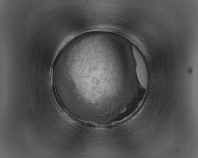 X0000089921180200707131404