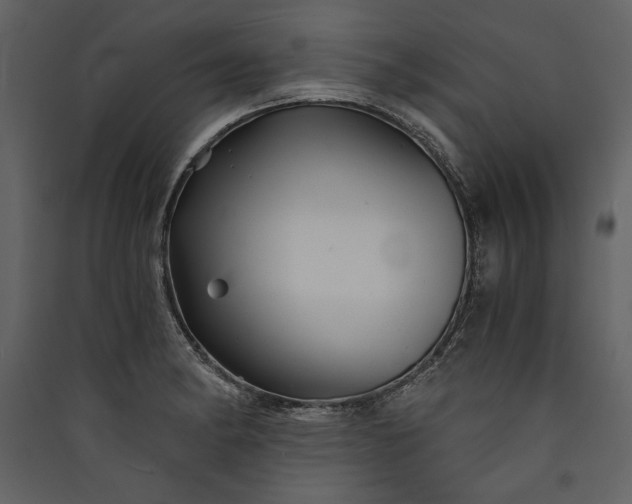 X0000089921182200707131404