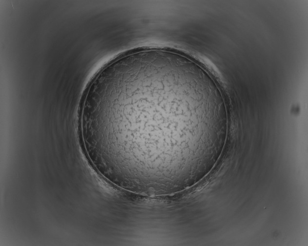 X0000089921183200707131404