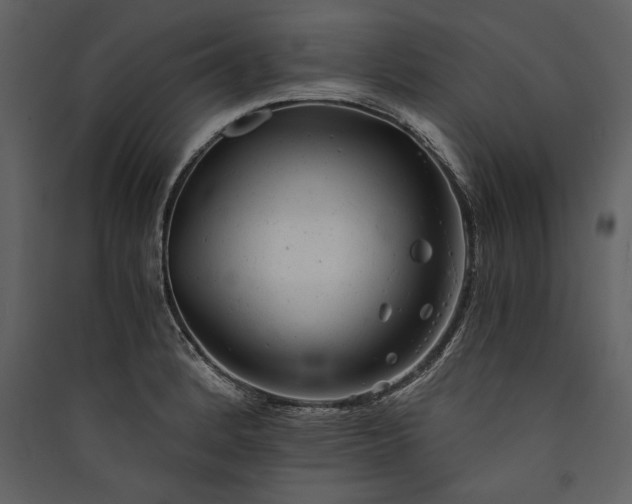 X0000089921184200707131404
