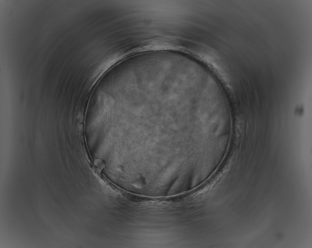 X0000089921185200707131404