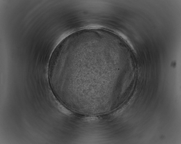 X0000089921186200707131404