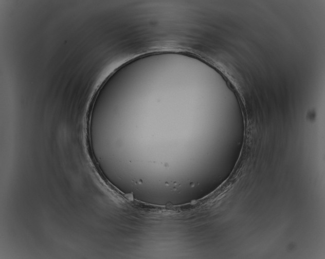 X0000089921187200707131404