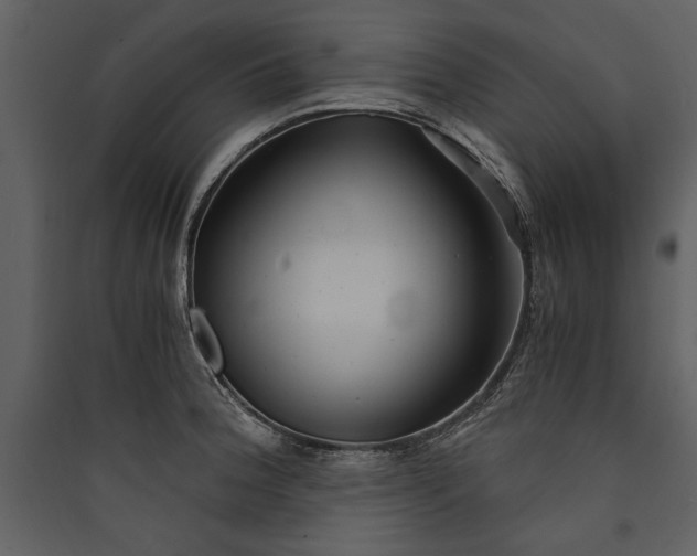 X0000089921188200707131404