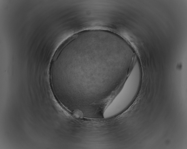 X0000089921189200707131404