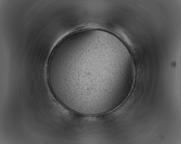 X0000089921190200707131404