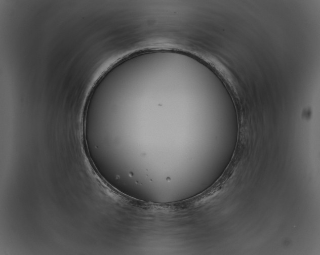 X0000089921191200707131404