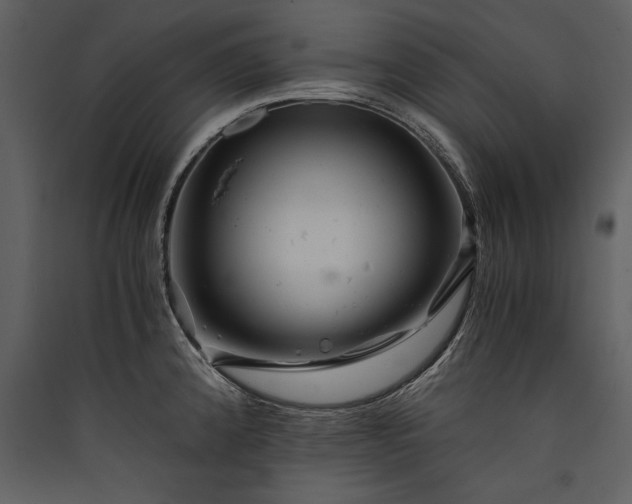 X0000089921192200707131404