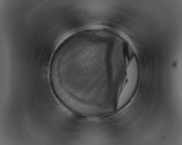 X0000089921194200707131404