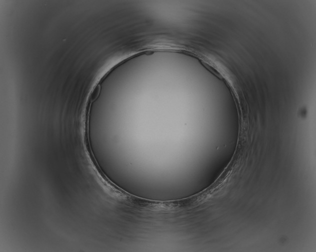 X0000089921195200707131404