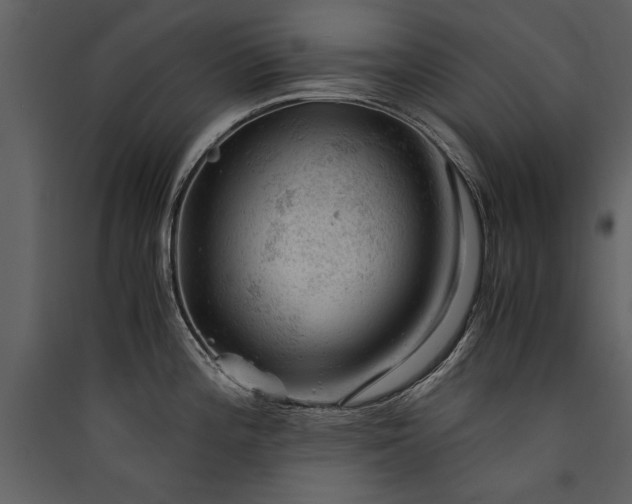 X0000089921196200707131404