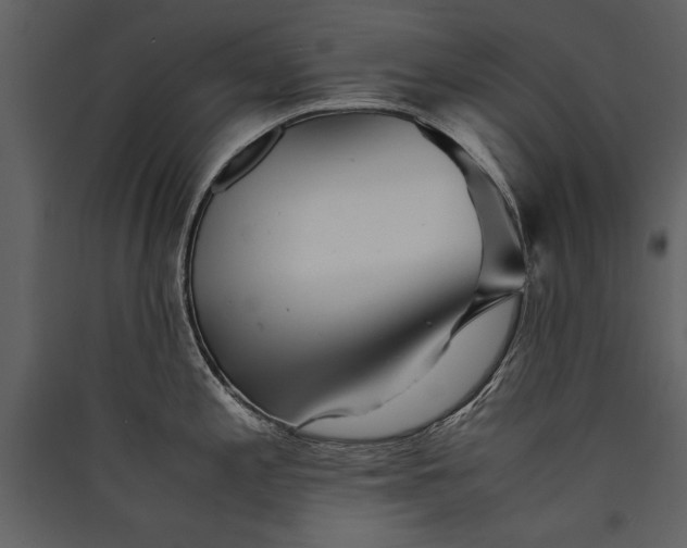 X0000089921197200707131403