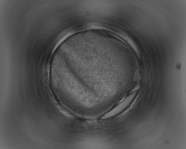 X0000089921198200707131403
