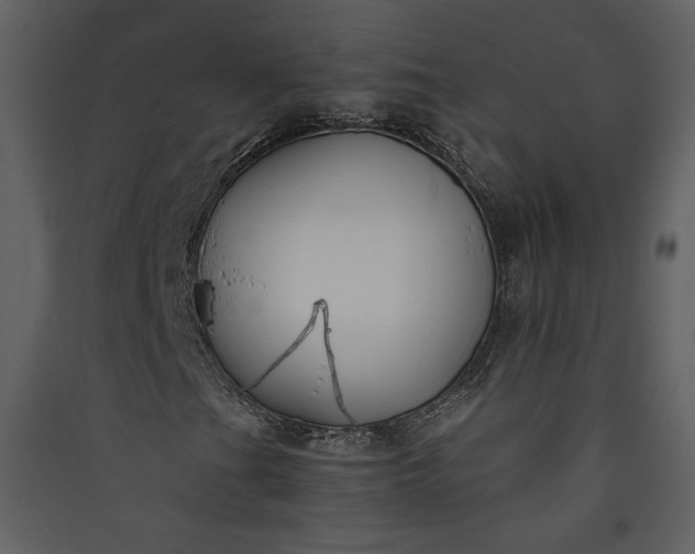 X0000089921201200707131403