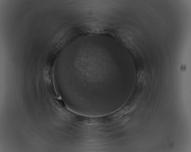 X0000089921202200707131403