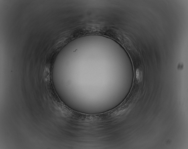 X0000089921203200707131403