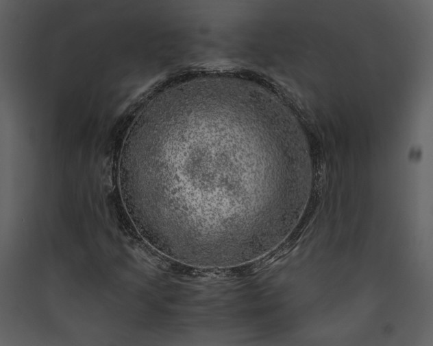 X0000089921205200707131403