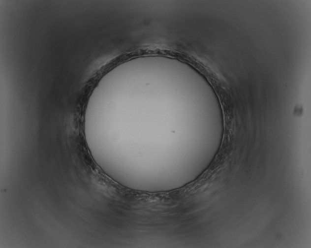 X0000089921207200707131403