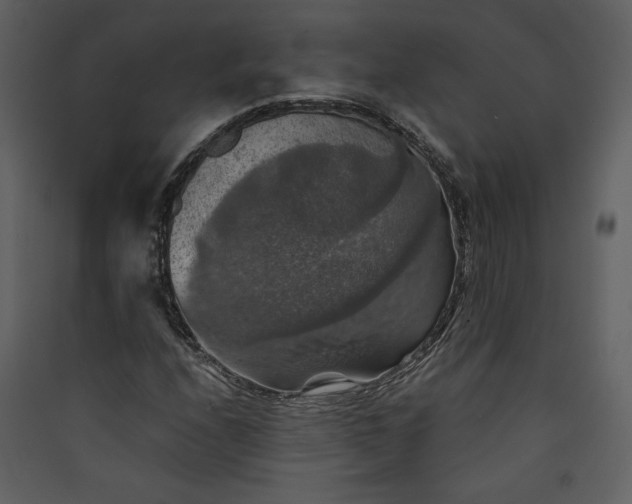 X0000089921208200707131403
