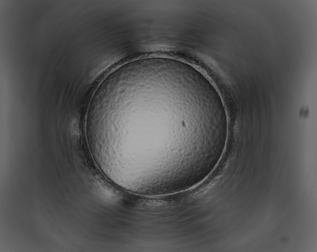 X0000089921209200707131403
